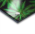 Electric Palm - Green Acrylic print