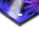 Electric Palm - Violet Spin Acrylic print