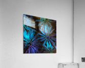 Electric Palm - Cool Square Acrylic Print