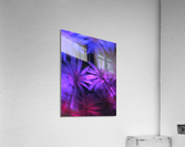 Electric Palm - Violet Spin Acrylic Print