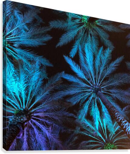 Electric Palm - Cool Square Canvas Print