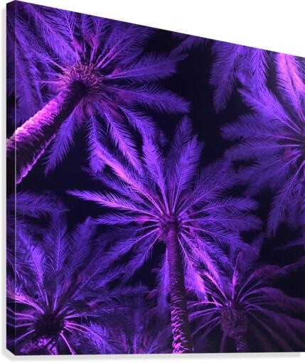 Electric Palm - Violet Square Canvas Print