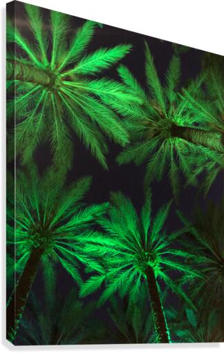 Electric Palm - Green Canvas Print