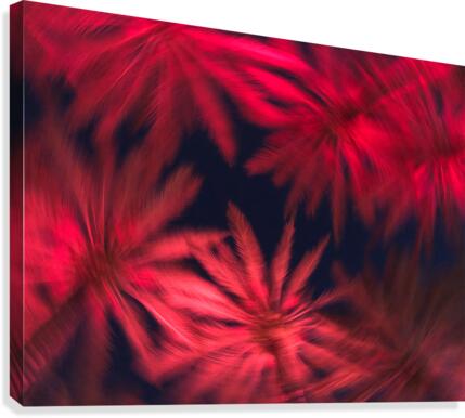 Electric Palm - Red Spin Canvas Print