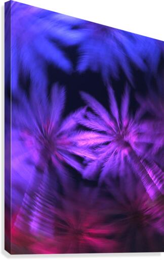 Electric Palm - Violet Spin Canvas Print