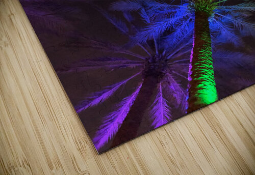 Electric Palm - Rainbow The Moment Rocks puzzle