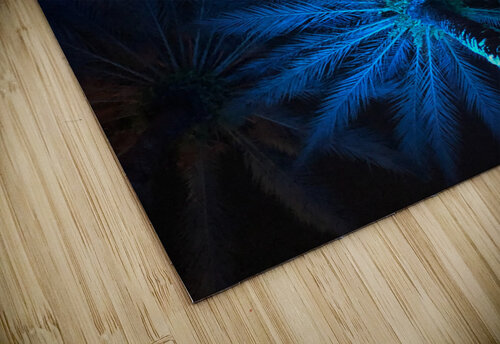 Electric Palm - Ocean The Moment Rocks puzzle