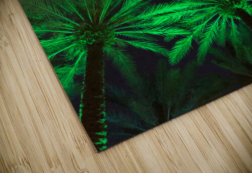 Electric Palm - Green The Moment Rocks puzzle