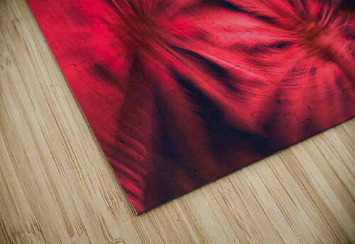 Electric Palm - Red Spin The Moment Rocks puzzle