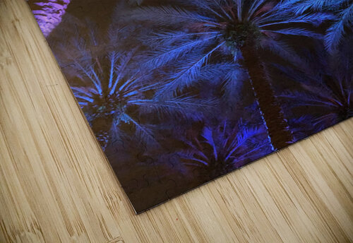 Electric Palm - Cool The Moment Rocks puzzle