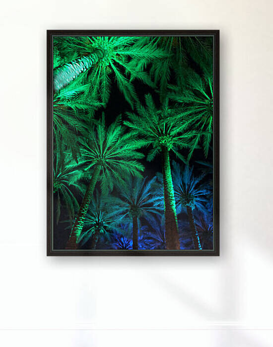Electric Palm - Gradient Reproduction