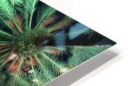 Electric Palm - Celadon HD Metal print