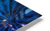 Electric Palm - Ocean HD Metal print