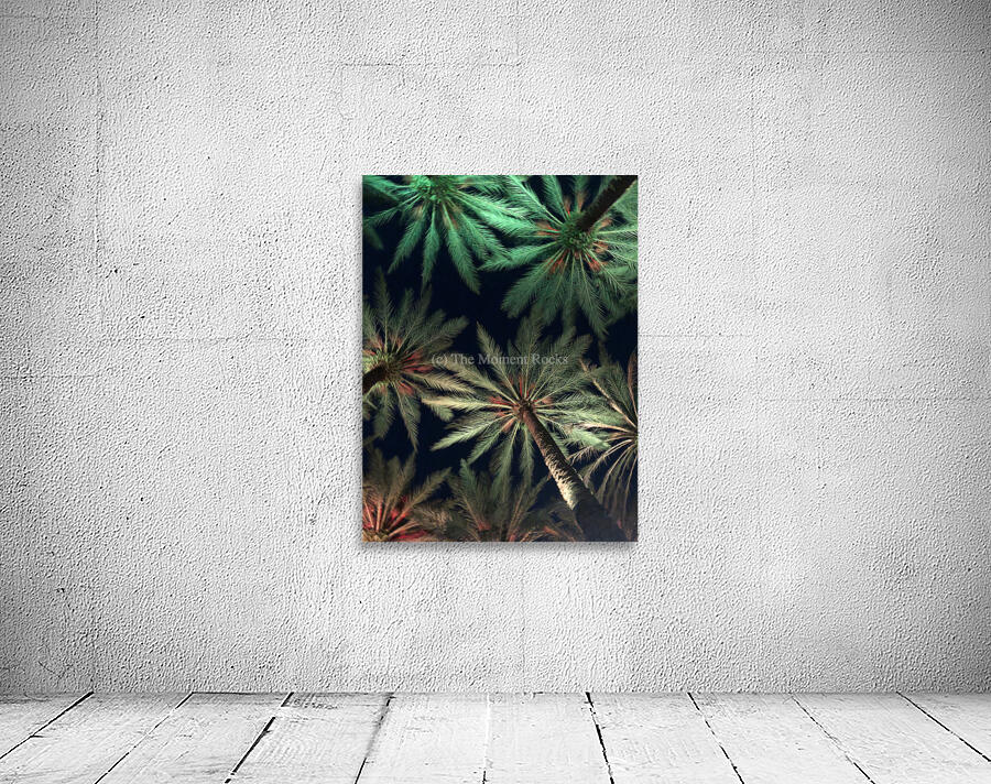 Electric Palm - Celadon Wall Preview