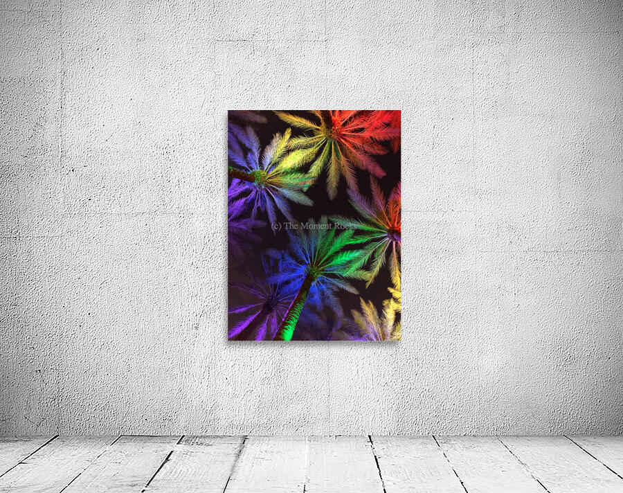 Electric Palm - Rainbow Wall Preview