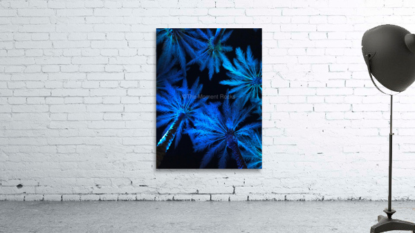 Electric Palm - Blue Wall Preview