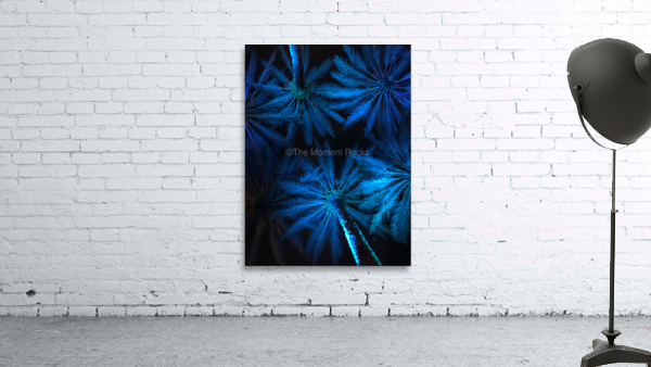Electric Palm - Ocean Wall Preview