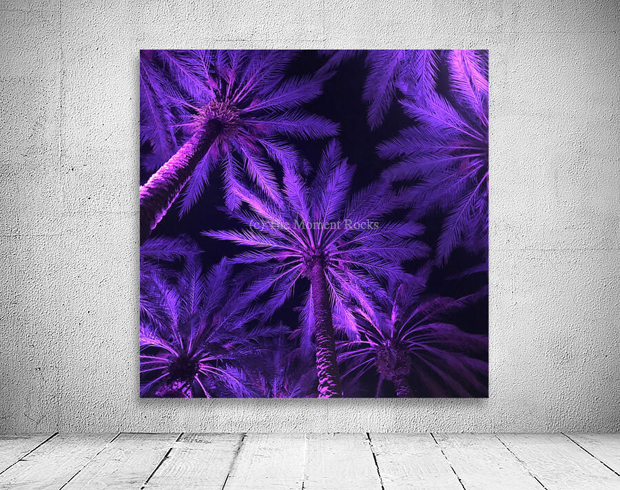 Electric Palm - Violet Square Wall Preview