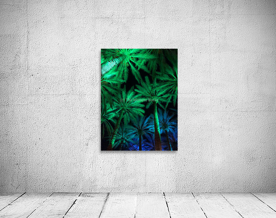 Electric Palm - Gradient Wall Preview