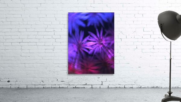 Electric Palm - Violet Spin Wall Preview