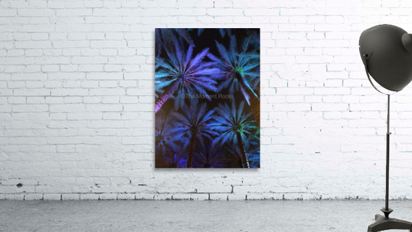 Electric Palm - Cool Wall Preview