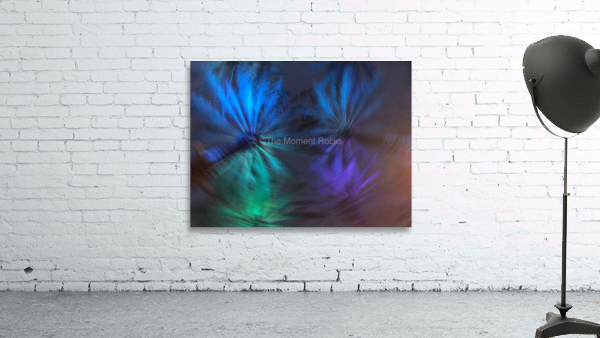 Electric Palm - Cool Spin Wall Preview