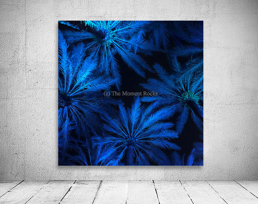 Electric Palm - Blue Square Wall Preview