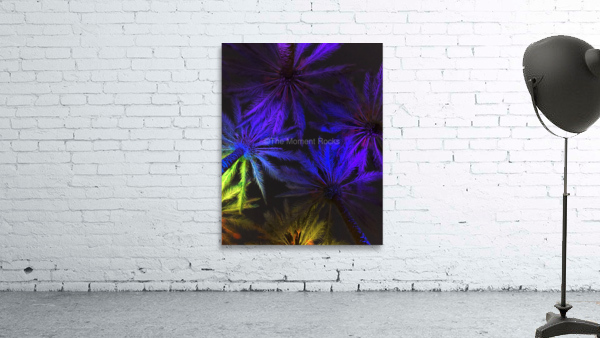 Electric Palm - Complementary Wall Preview
