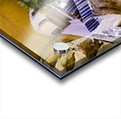 troglodyte Acrylic print