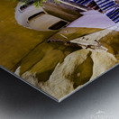 troglodyte Metal print