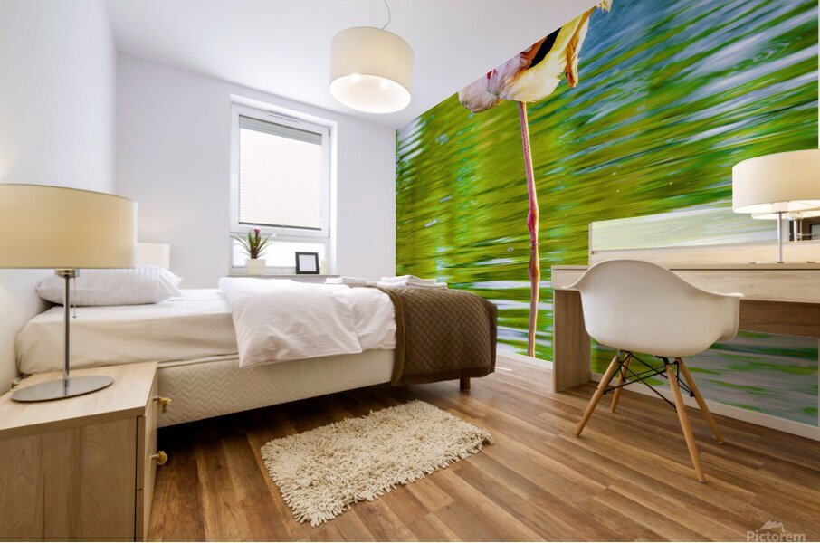 flamant Mural print