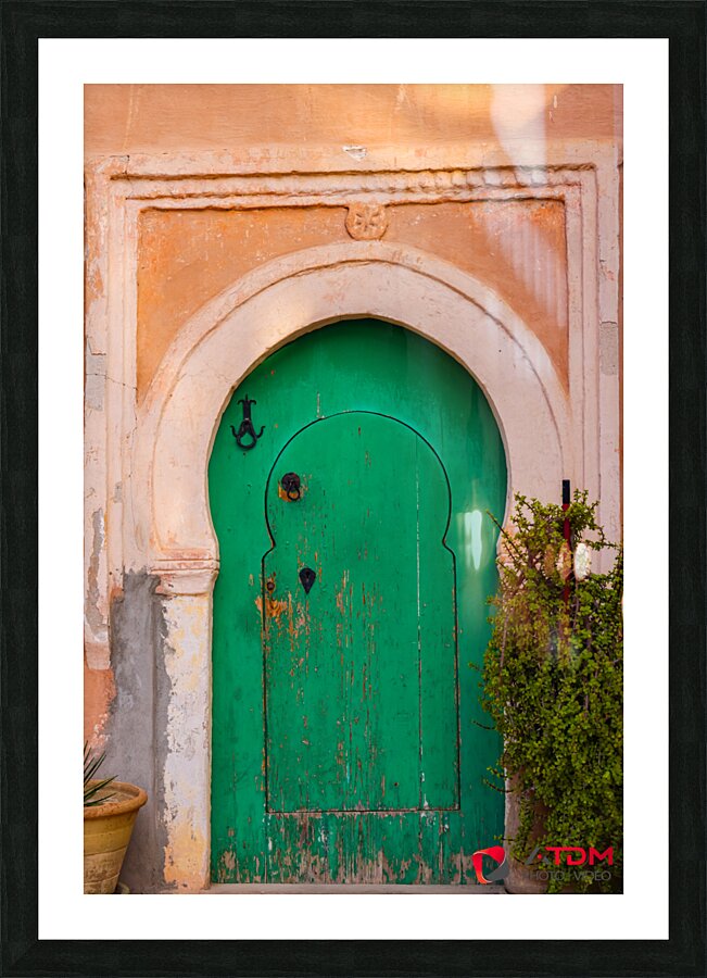 Vert porte Picture Frame print