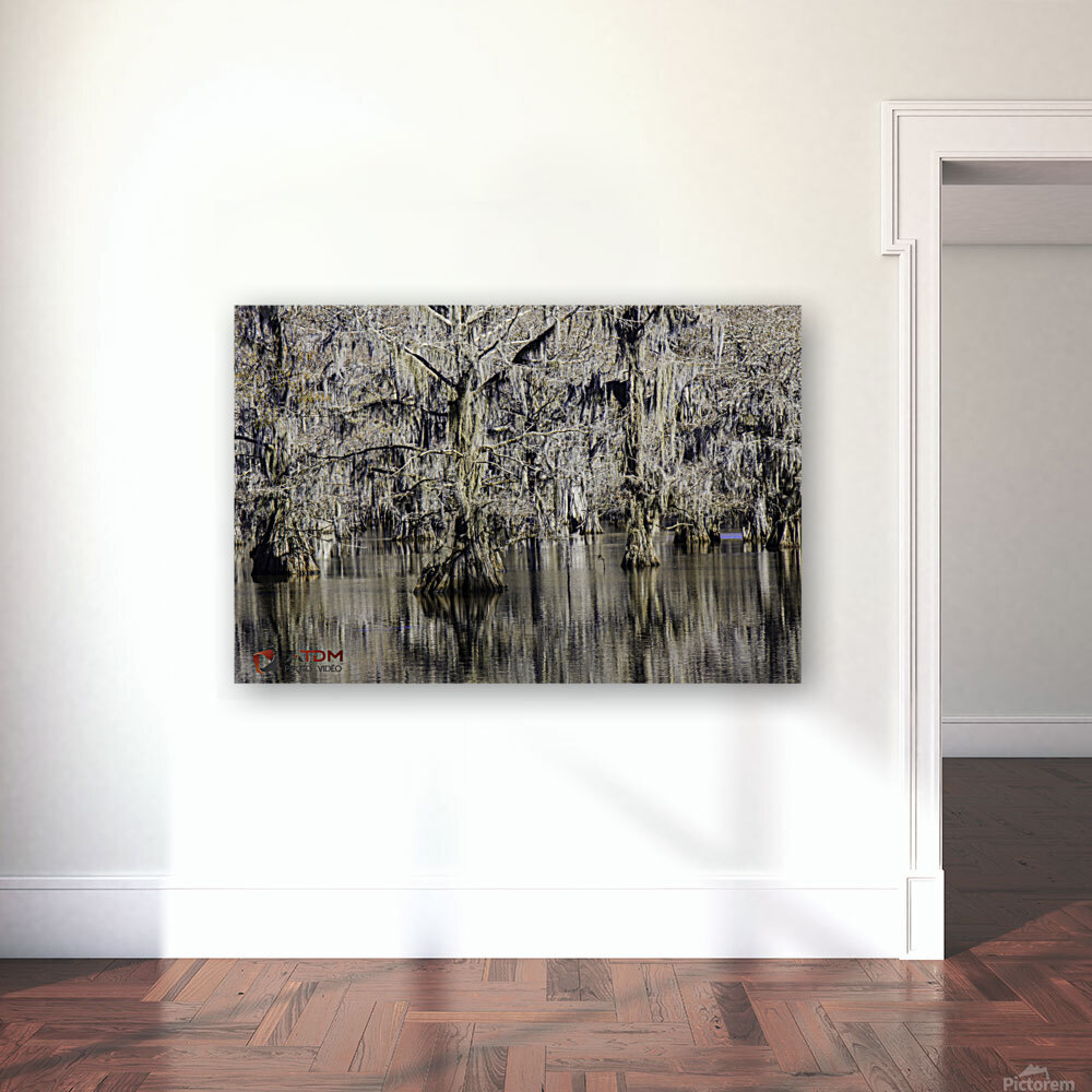 Caddo Lake Reproduction