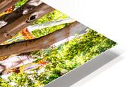Ville de Nime HD Metal print