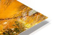 mur HD Metal print