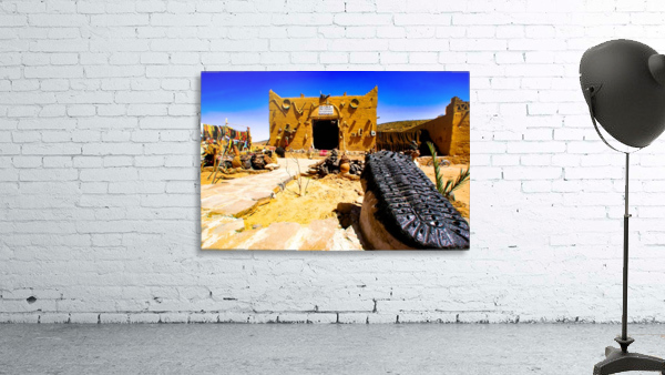 Trilobite Wall Preview