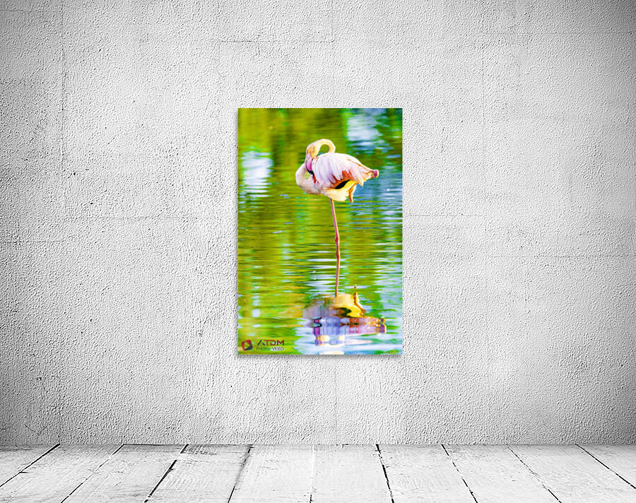 flamant Wall Preview