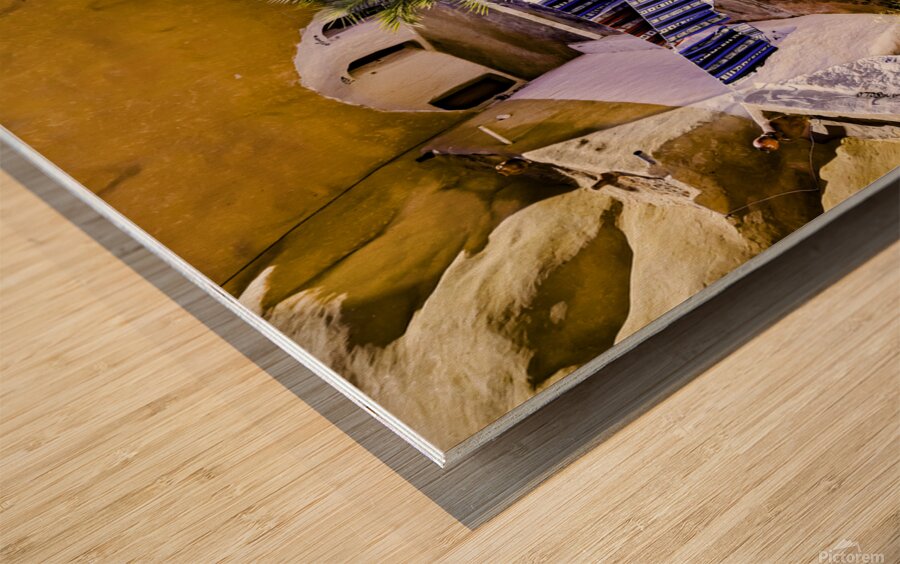 troglodyte Wood print