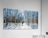 Marche en forêt  Impression acrylique