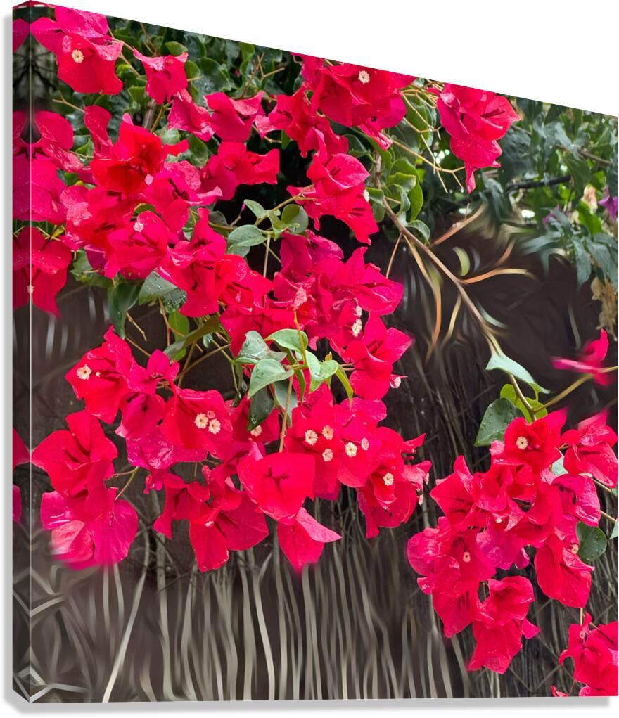 Mur de fleurs