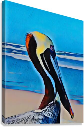 Pelican 