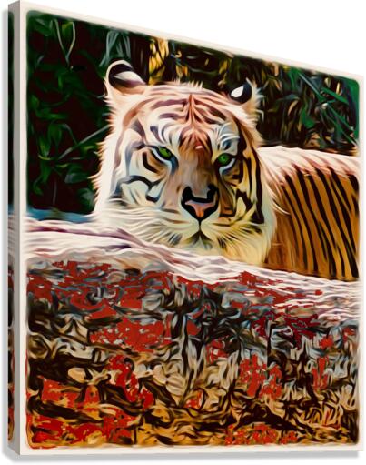 Tigre multicolor.