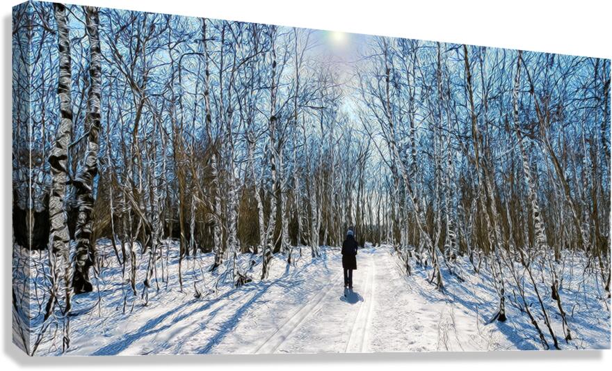 Marche en forêt 
