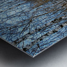 Marche en forêt  Impression metal