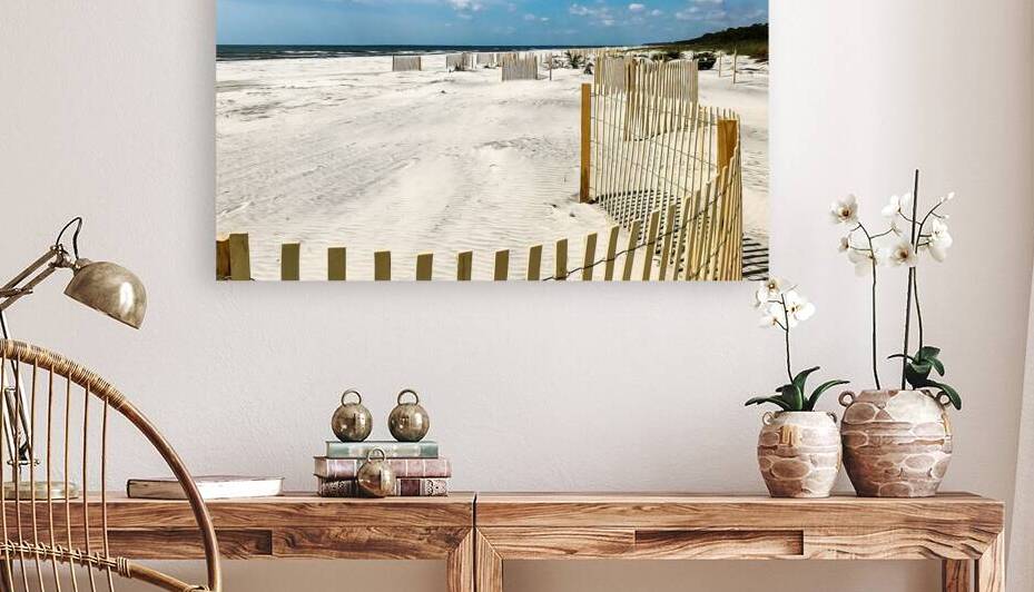 PROJET - 55  Plage Hilton Head  by Roger St Jean Jr Photos