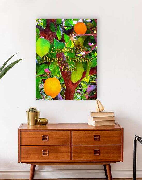 Les Citrons de Diano Arentino by Roger St Jean Jr Photos