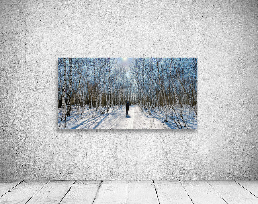 Marche en forêt  Aperçu sur mur