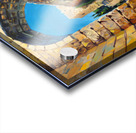 Golden Archway Acrylic print