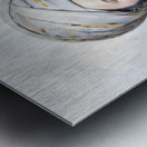 Forest Journey Metal print