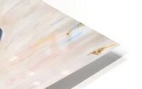 Chacham Ovadia HD Metal print